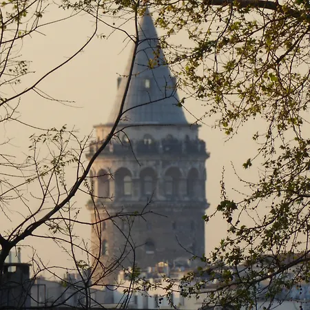 Renzo - Special Category *