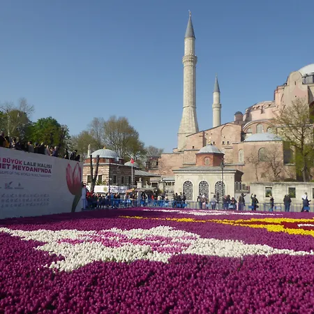 Renzo - Special Category Apartment Istanbul