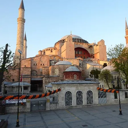 Renzo - Special Category *