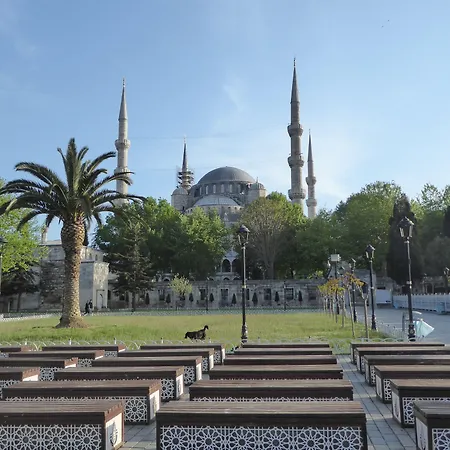 Renzo - Special Category Appartement