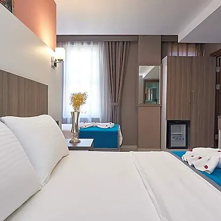 Apartment Renzo - Special Category