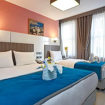 Apartment Renzo - Special Category